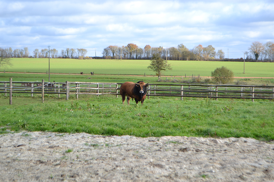 Arrivée à la ferme