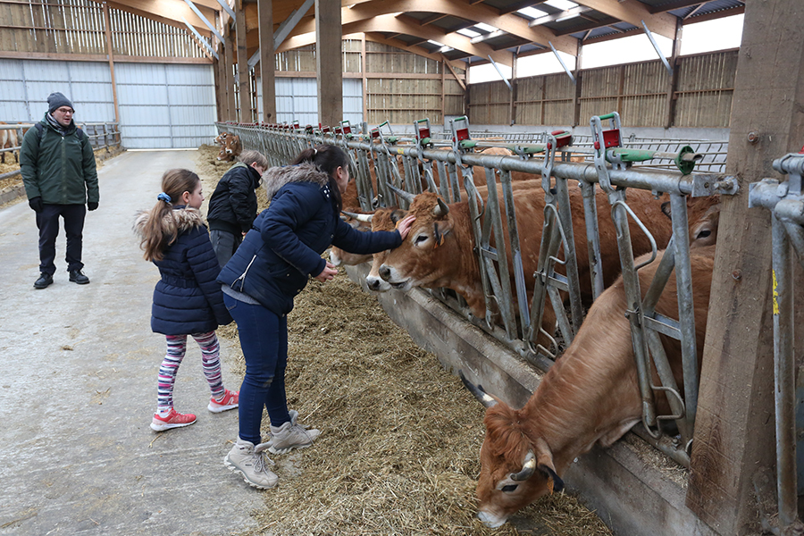 Visite des stabulations