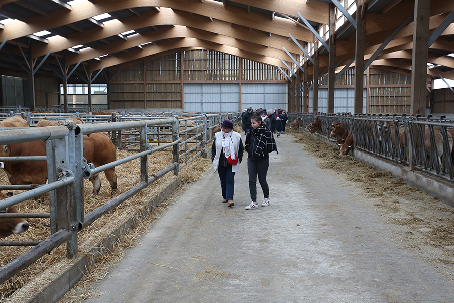 Visite des stabulations